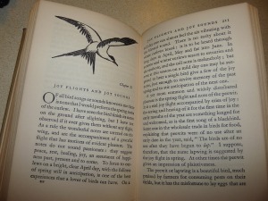 Chapter X of the Charm of Birds: "Joy Flights and Joy Sounds"